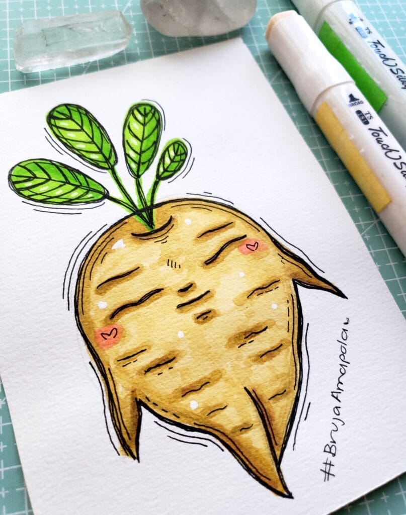 Ilustracion mandragora