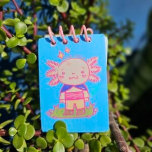 Libretita ''Ajolote Aventurero''