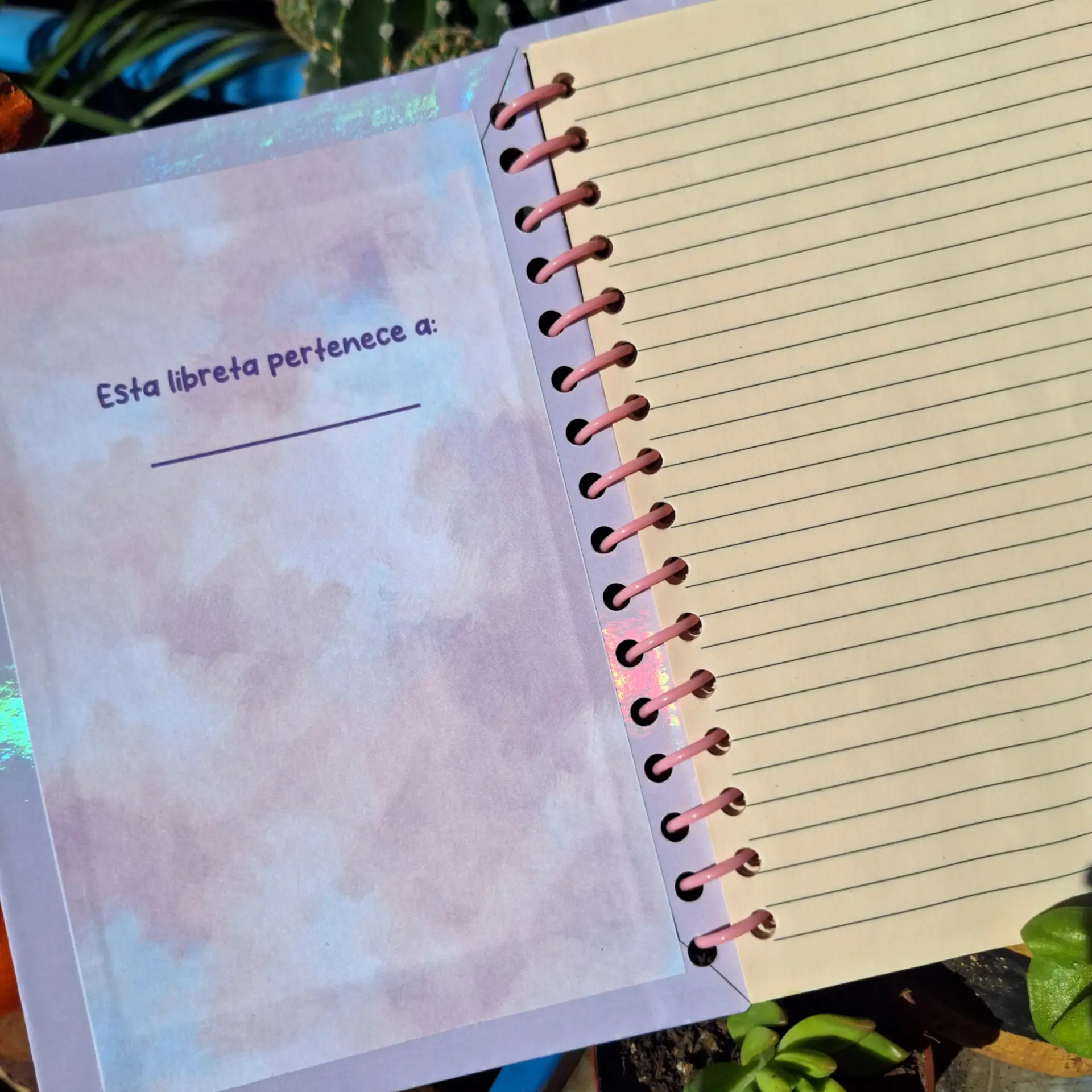 Picsart_25-10-28_14-24-32-871